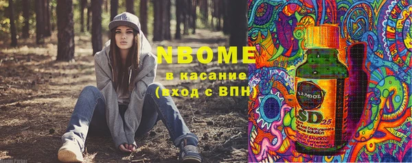метадон Алексин