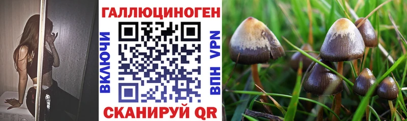 Псилоцибиновые грибы GOLDEN TEACHER  Орлов 
