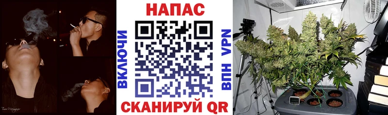 Шишки марихуана White Widow  Орлов 